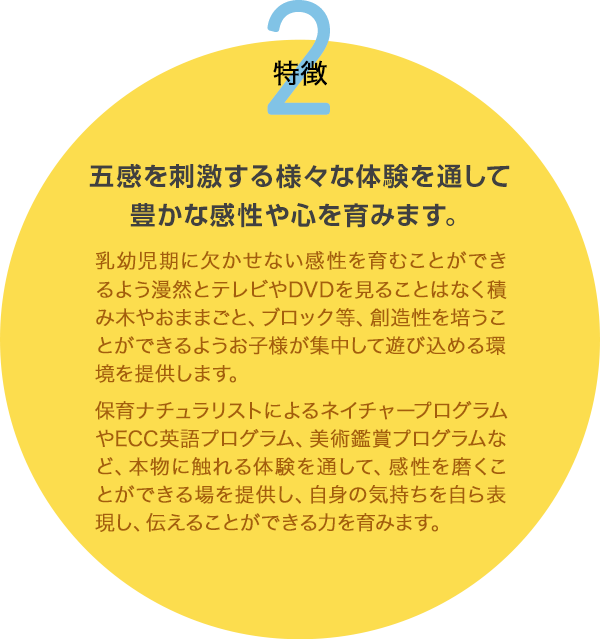 五感を刺激する様々な体験を通して豊かな感性や心を育みます。